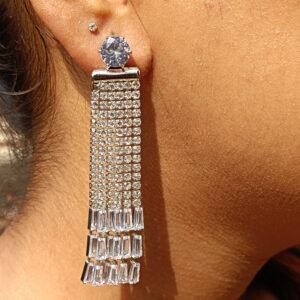 Sparkling Silver Dangle Earrings
