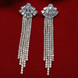 Stylish Silver Tone Dangle Earrings