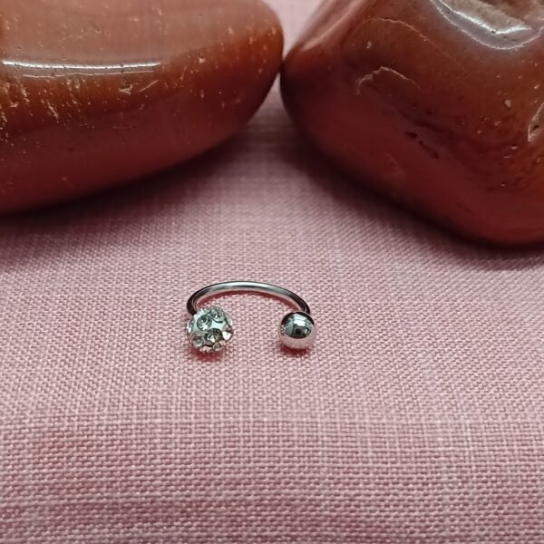 Chic Circular Barbell for Body Jewelry