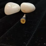 Stainless Steel Spike Fake Plug Earrings