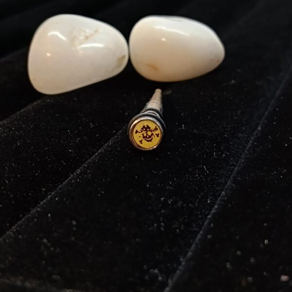 Men’s Style Fake Plug Earring