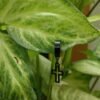 Men’s Black Cut-Out Cross Hoop Earring