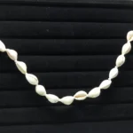 Cowrie Shell Waist Chain for Women