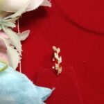 Dainty AD Leaf Ring for Women